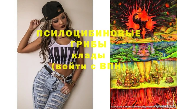 spice Алзамай