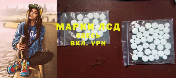 spice Алзамай