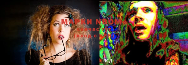 spice Алзамай